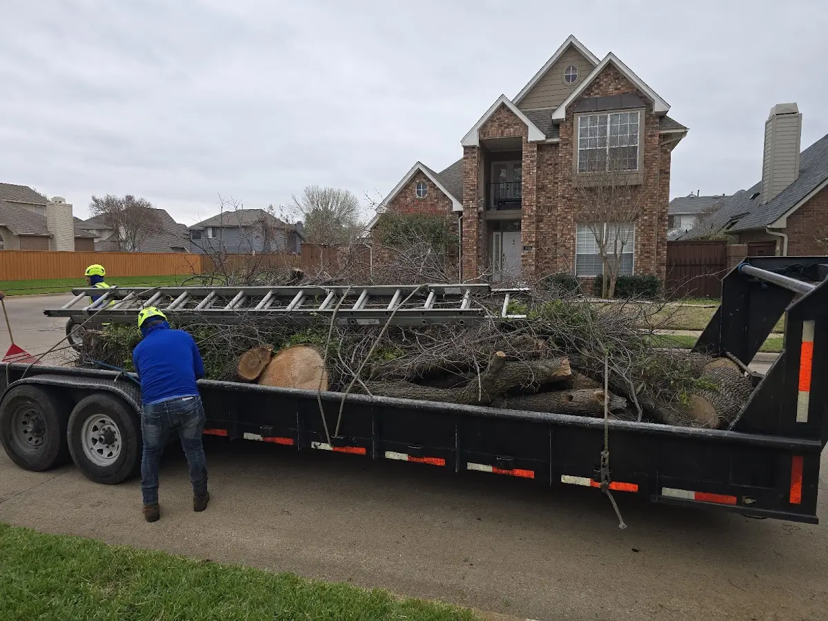 Expert Tree Fertilization with proper safety equipment in Cazadero